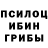 Галлюциногенные грибы Psilocybe Amangali Temirov