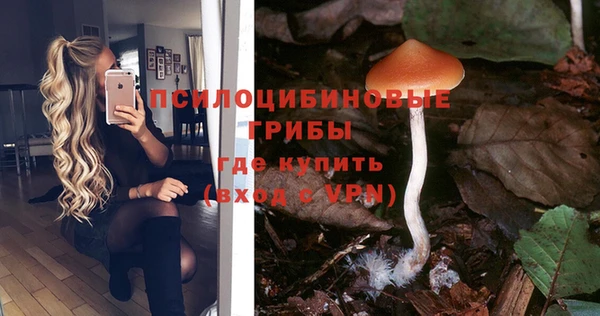 амф Аркадак