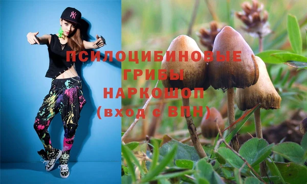 амф Аркадак