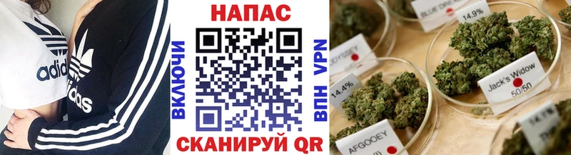 Бошки Шишки план Асбест